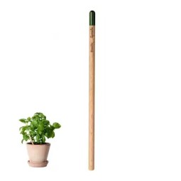 CRAYON DE PAPIER À PLANTER...