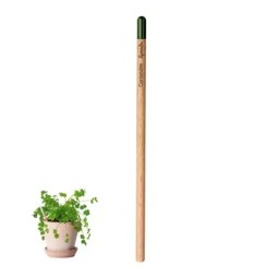 CRAYON DE PAPIER À PLANTER...