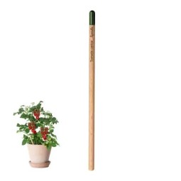 CRAYON DE PAPIER À PLANTER...