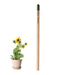 CRAYON DE PAPIER À PLANTER...