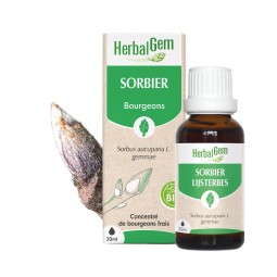 SORBIER BOURGEON BIO - 30 mL