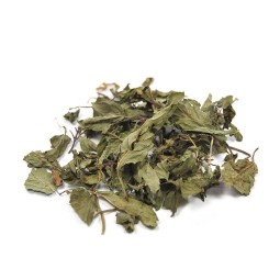 MENTHE POIVRÉE - 50 g