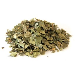 FIGUIER - 100 g
