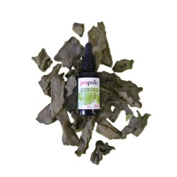 TEINTURE MÈRE PROPOLIS...