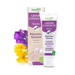GRANDE CONSOUDE BAUME BIO -...
