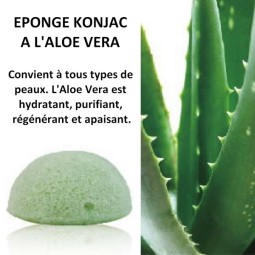 ÉPONGE KONJAC À L'ALOE VERA