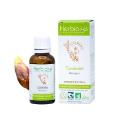 CASSISSIER BOURGEON BIO...