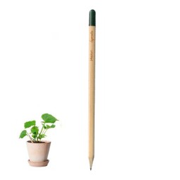 CRAYON DE PAPIER À PLANTER...