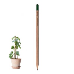 CRAYON DE PAPIER À PLANTER...