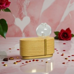 DIFFUSEUR PAR NÉBULISATION...