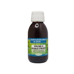 EPILOBE À FEUILLE ÉTROITE -...