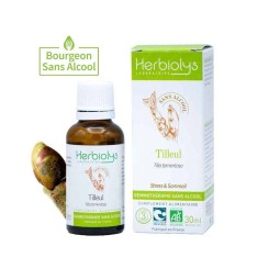 TILLEUL BOURGEON BIO SANS...