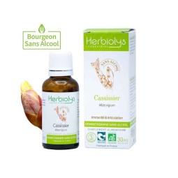 CASSISSIER BOURGEON BIO...