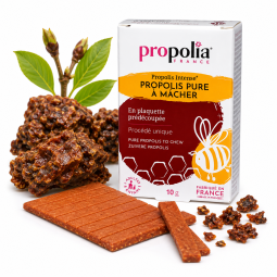 PROPOLIS PURE À MÂCHER BIO...
