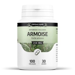 ARMOISE - 100 gélules