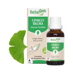 GINKGO BILOBA BOURGEON BIO...